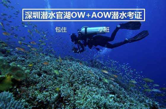 益阳某KTV会所2人获刑！为赚大钱招募多名未成年女性，提供有偿陪侍...